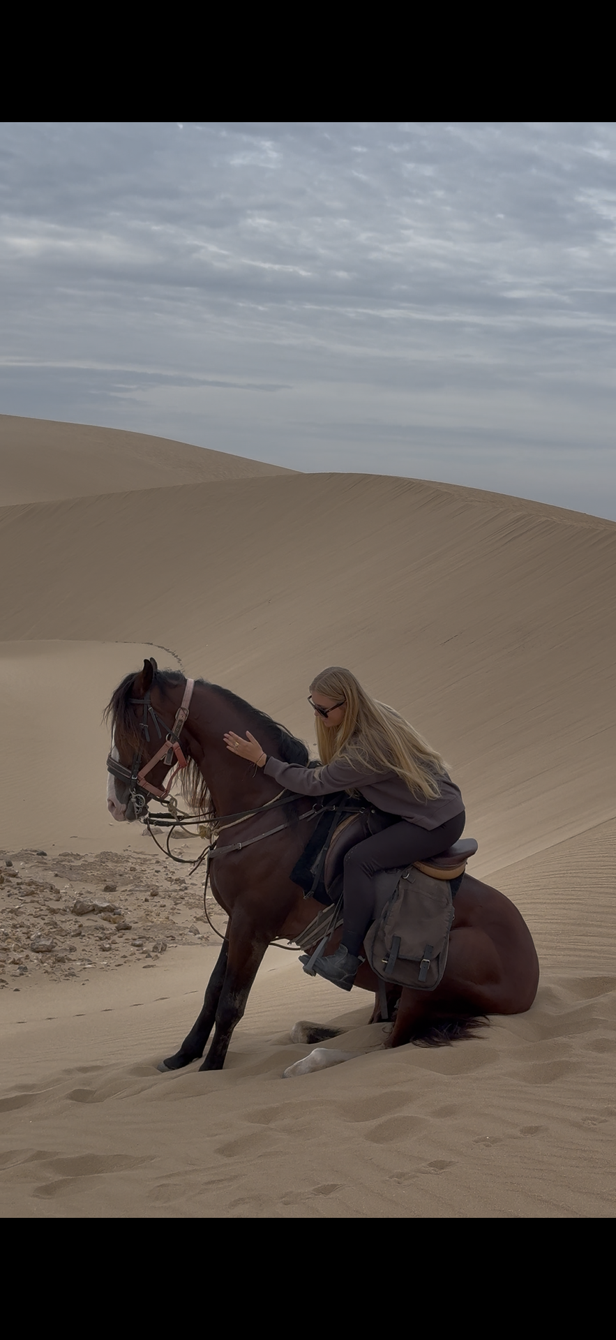 Caballo en las dunas