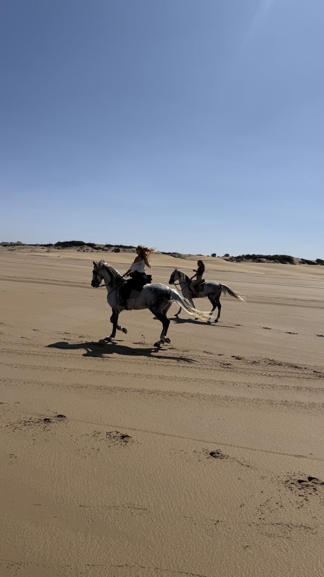 Galopando por la playa