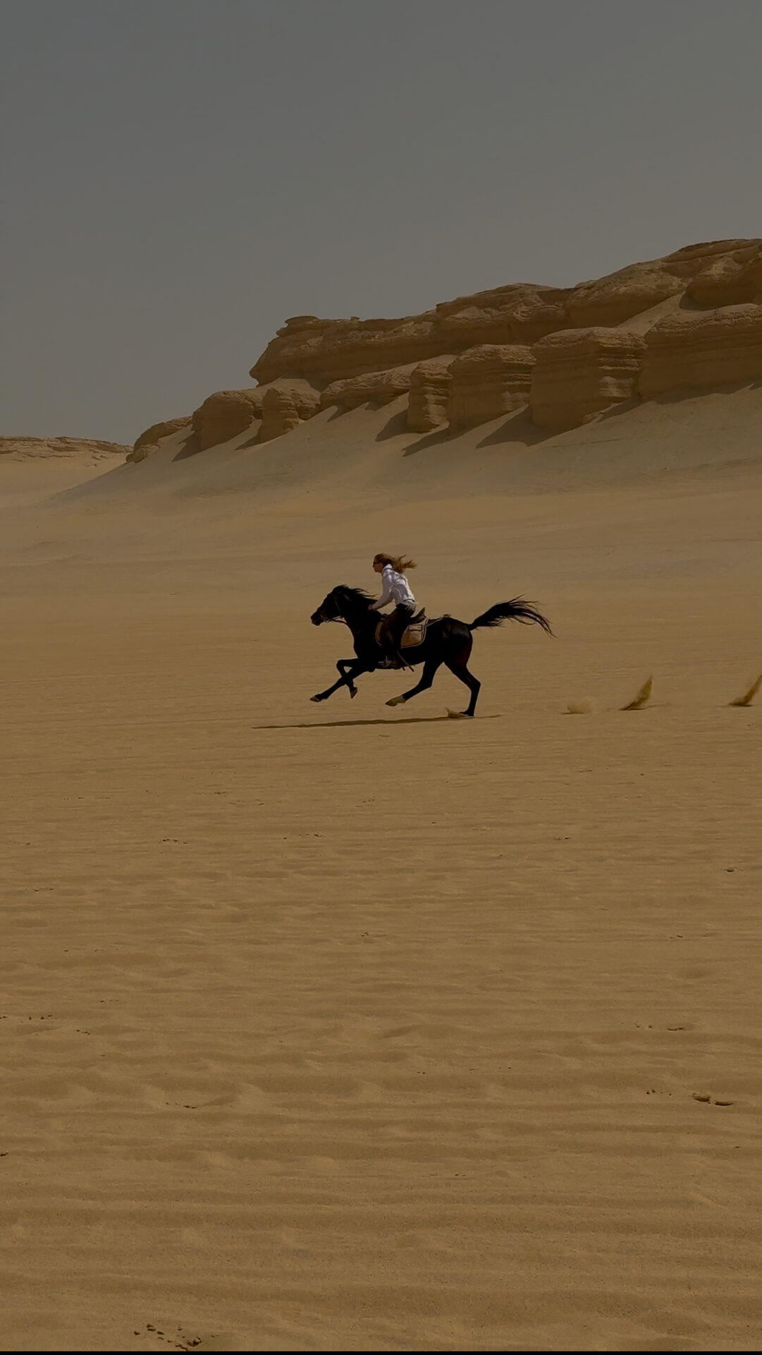 Oasis along the way