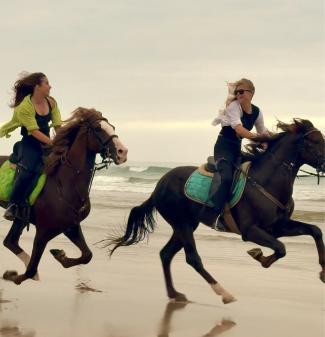 Ride across beaches, dunes & forests