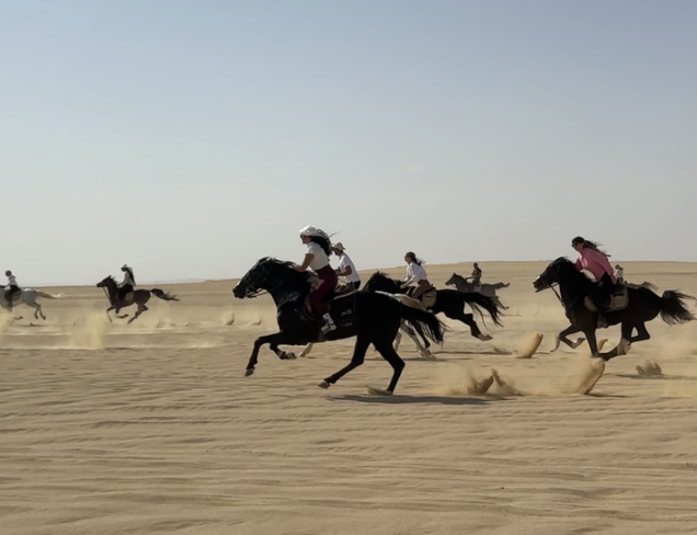 Experience unforgettable gallops and total freedom