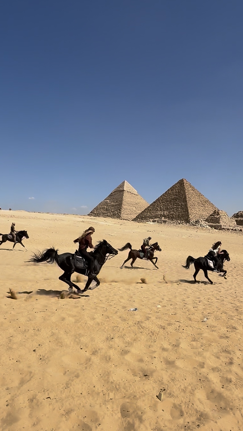 Gallop beside the pyramids