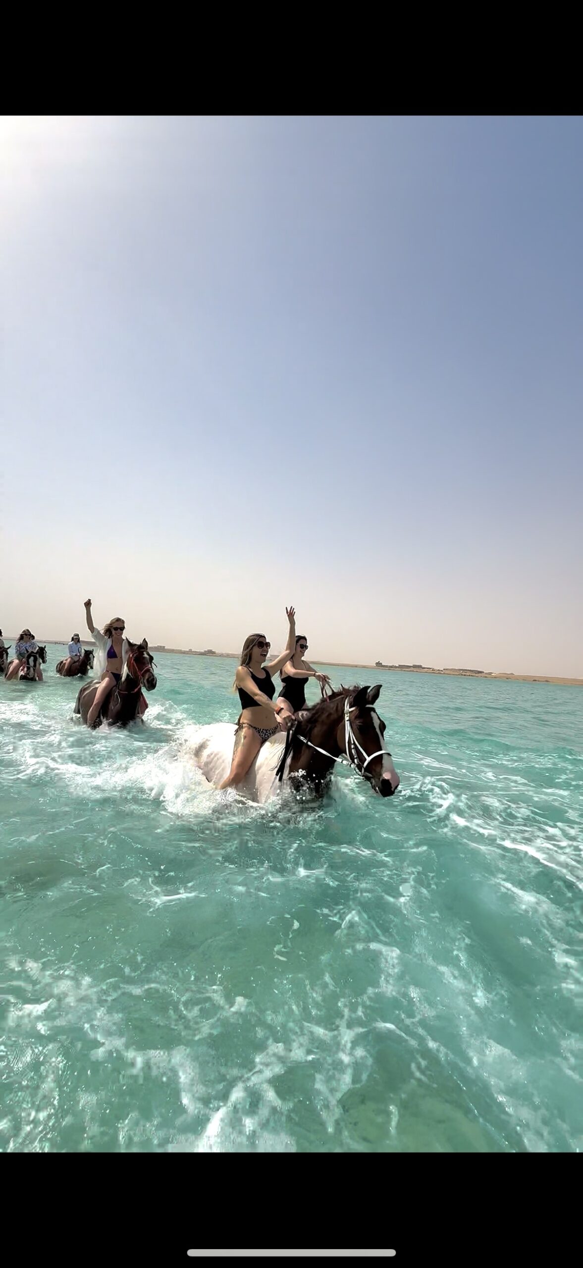 Swim with horses in the Red Sea