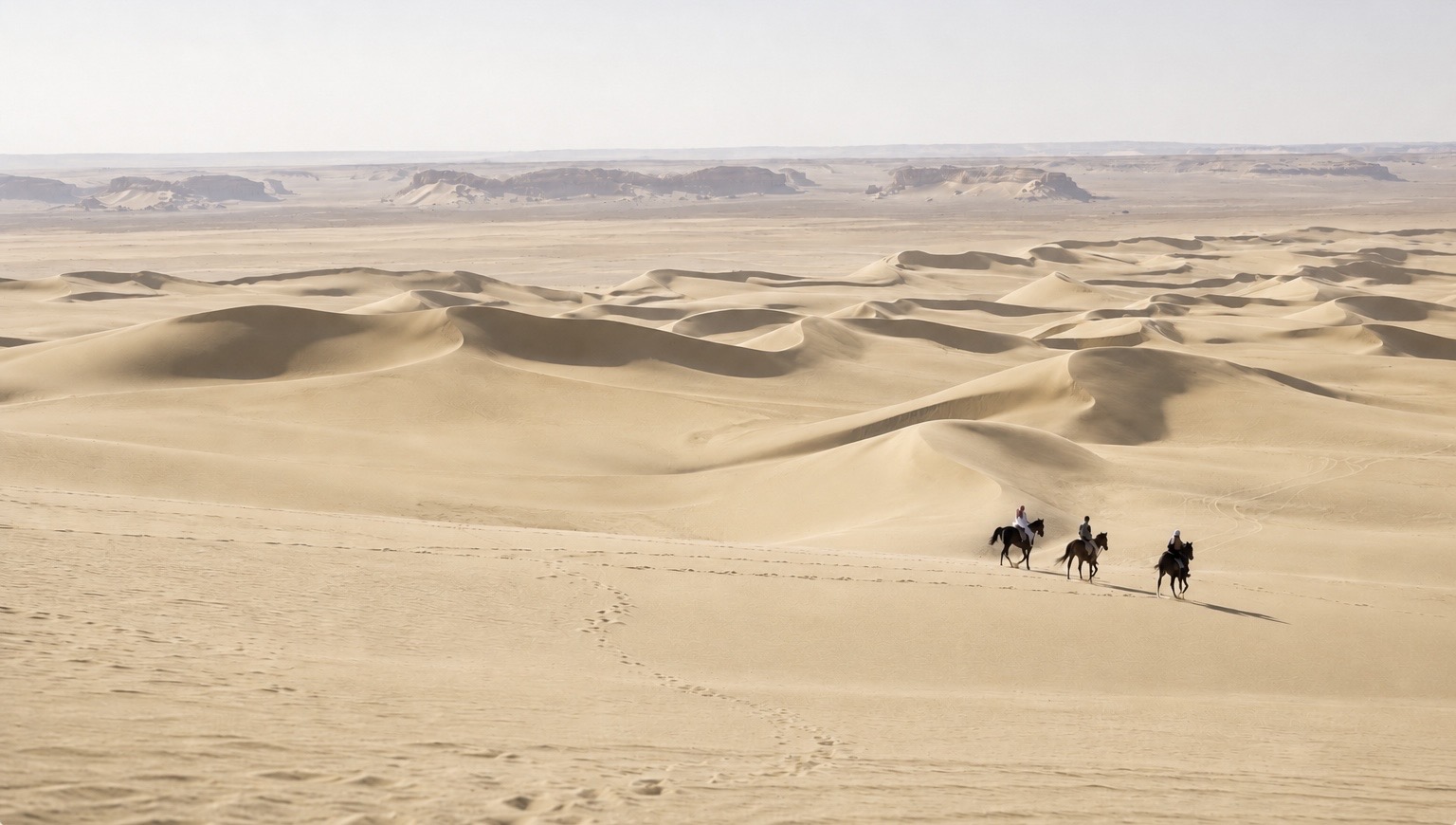 Group galopando por el desierto