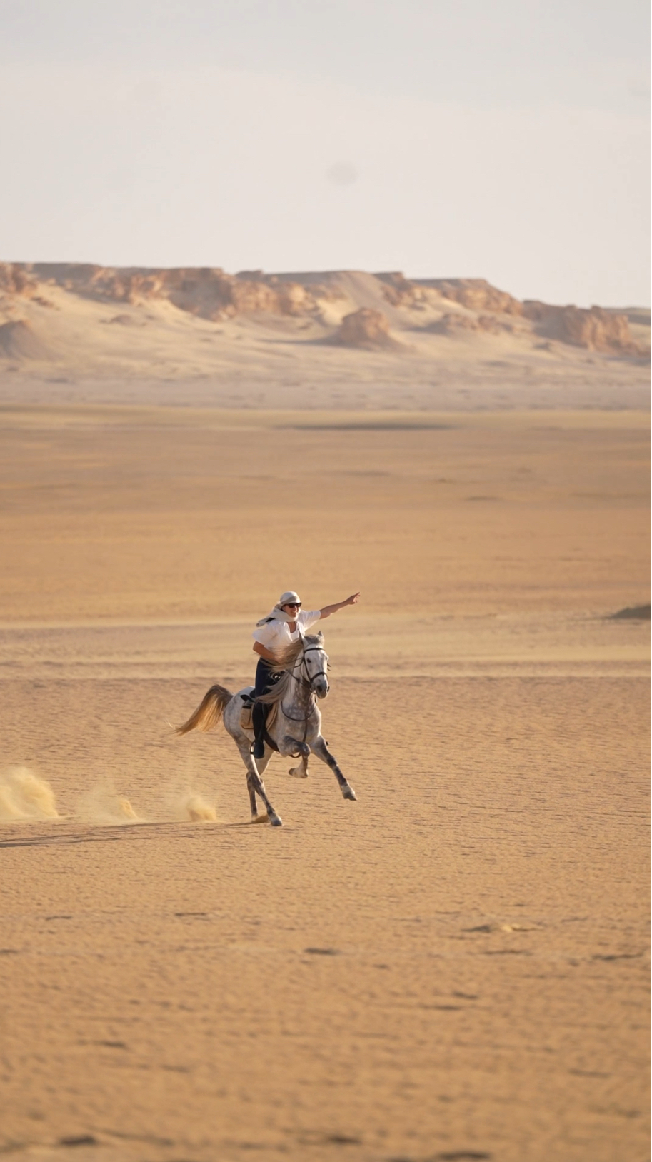 Feel the freedom of galloping through the desert (Ride 2)