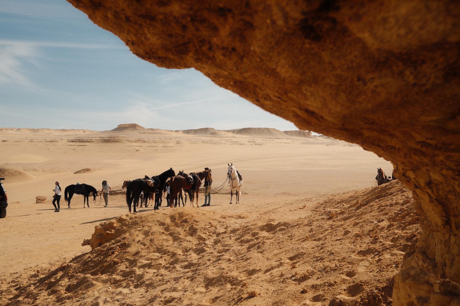 Group a caballo al atardecer