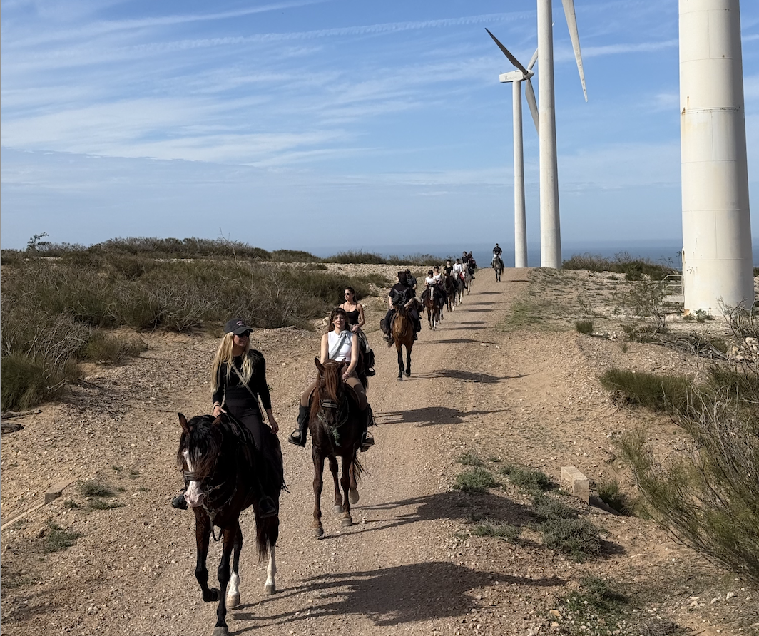 Ride across beaches, dunes & forests