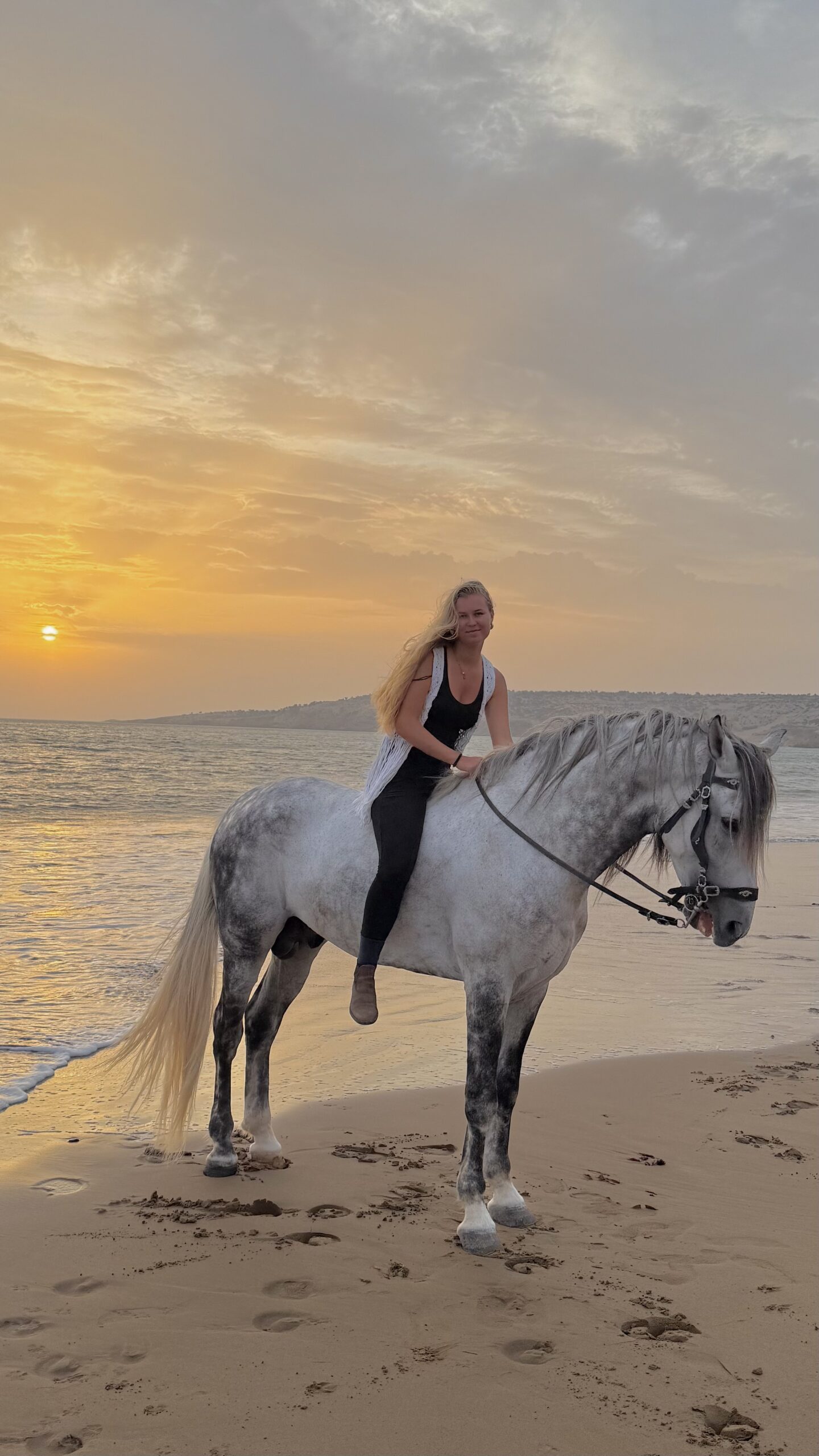Sunset gallops along the Atlantic coast